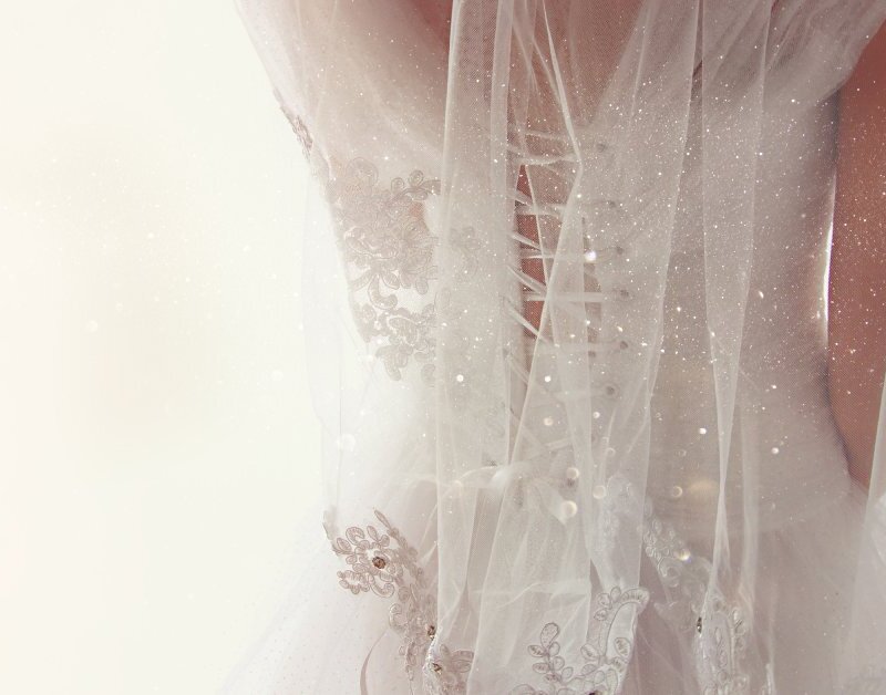 A close-up shot of a bride’s back as she faces a bright light source. Her dress and veil sparkle and glisten.